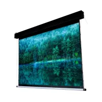 ViewScreen Antis Pro (16:10) 604*432 (592*370) MW (с пультом)